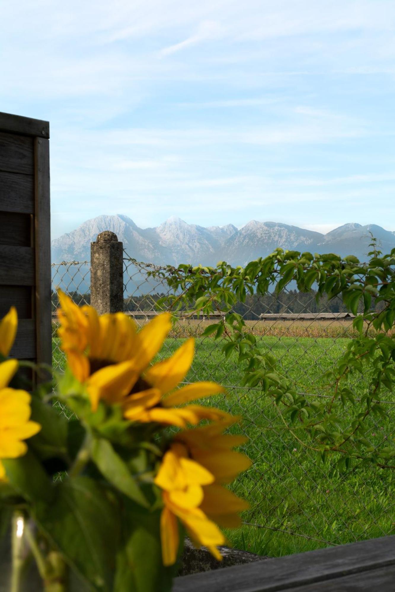 Smlednik Glamping With A View 빌라 외부 사진